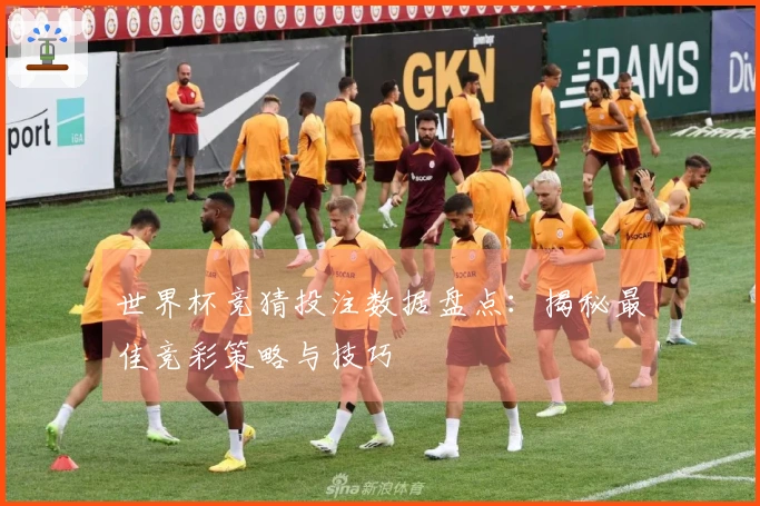 世界杯竞猜投注数据盘点：揭秘最佳竞彩策略与技巧