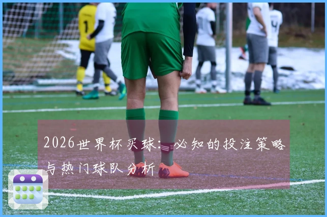 2026世界杯买球：必知的投注策略与热门球队分析