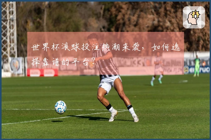 世界杯滚球投注热潮来袭，如何选择靠谱的平台？