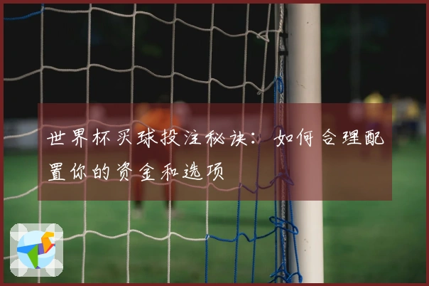 世界杯买球投注秘诀：如何合理配置你的资金和选项