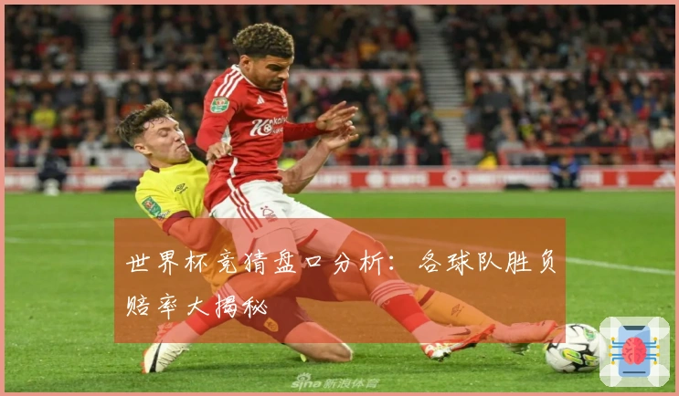 世界杯竞猜盘口分析：各球队胜负赔率大揭秘
