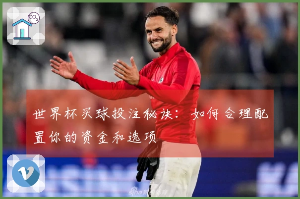 世界杯买球投注秘诀：如何合理配置你的资金和选项