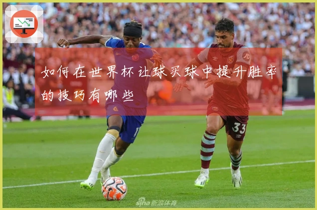 如何在世界杯让球买球中提升胜率的技巧有哪些