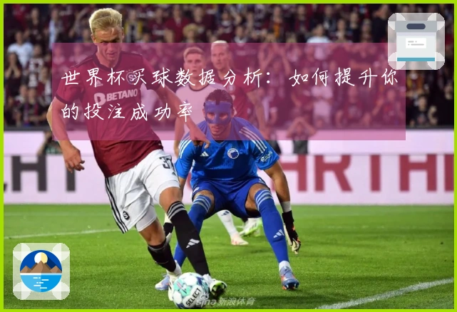 世界杯买球数据分析：如何提升你的投注成功率